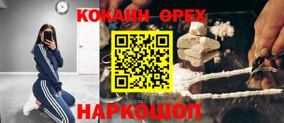 прущие грибы Бердск