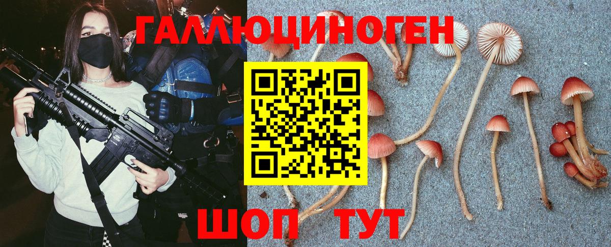 купить наркоту  Галлюциногенные грибы MAGIC MUSHROOMS  Вход с VPN  Великий Устюг 